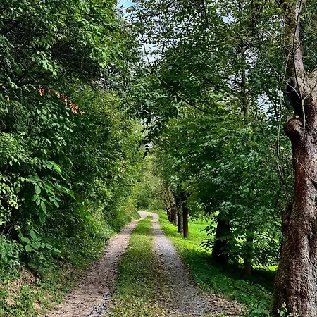 Villa Dom Przy Gajowej Kolo Krakowa